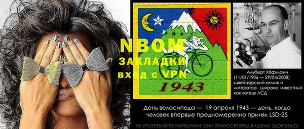 ГАЛЛЮЦИНОГЕННЫЕ ГРИБЫ Верея