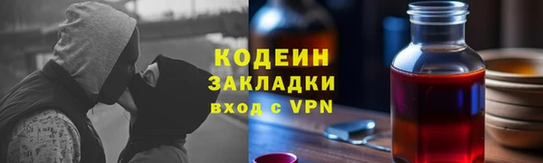 ГАЛЛЮЦИНОГЕННЫЕ ГРИБЫ Верея