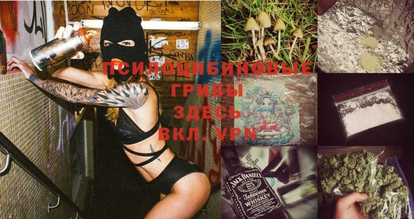 ГАЛЛЮЦИНОГЕННЫЕ ГРИБЫ Верея