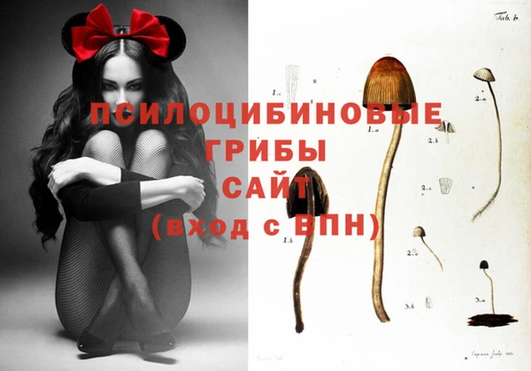 дурь Верхний Тагил